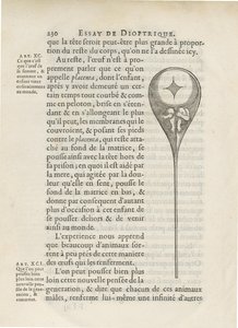 Homunculus raffigurato all